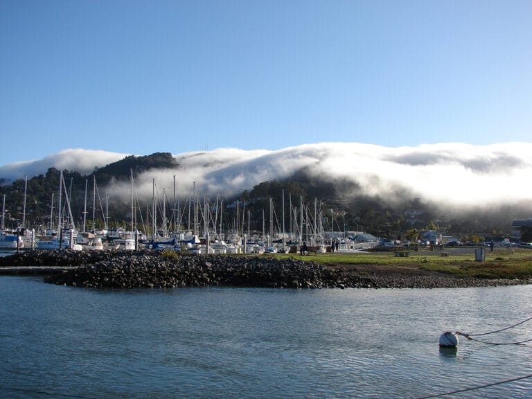 Illustrative image for Bellingham Marine dock insurance credit: Clipper Yacht Harbor 5x4