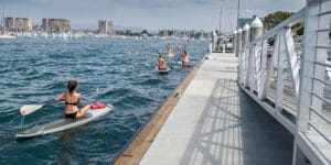 Paddle Boarders