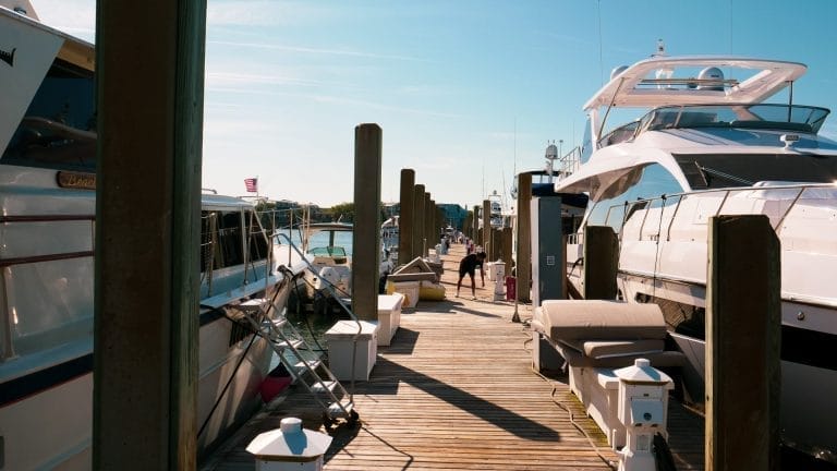A marina with several boats docked, surrounded by calm water and a clear sky, showcasing a serene waterfront setting.